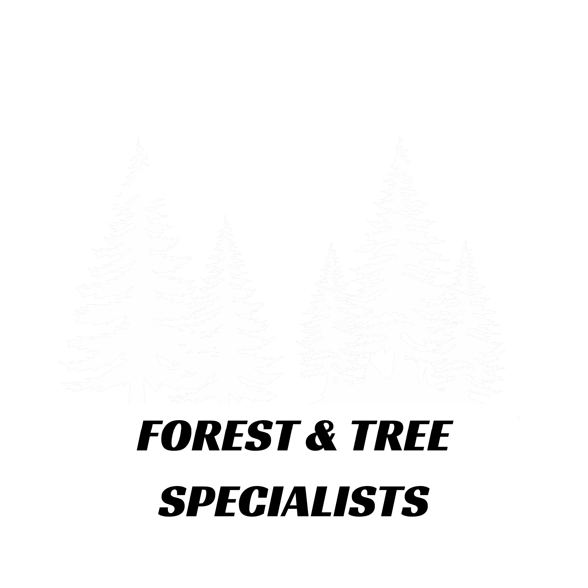 All Things Vertical